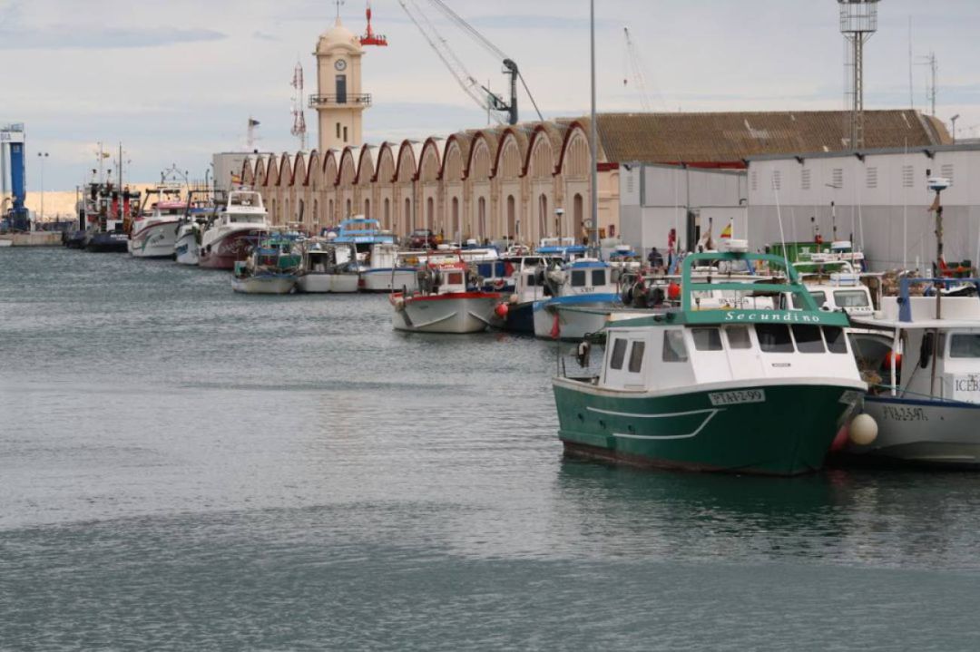 Embarcaciones de pesca en el puerto de Gandia Embarcaciones de pesca en el puerto de Gandia