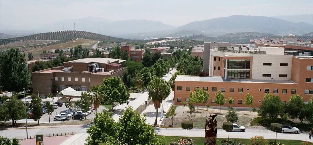 Campus de Las Lagunillas. Campus de Las Lagunillas.