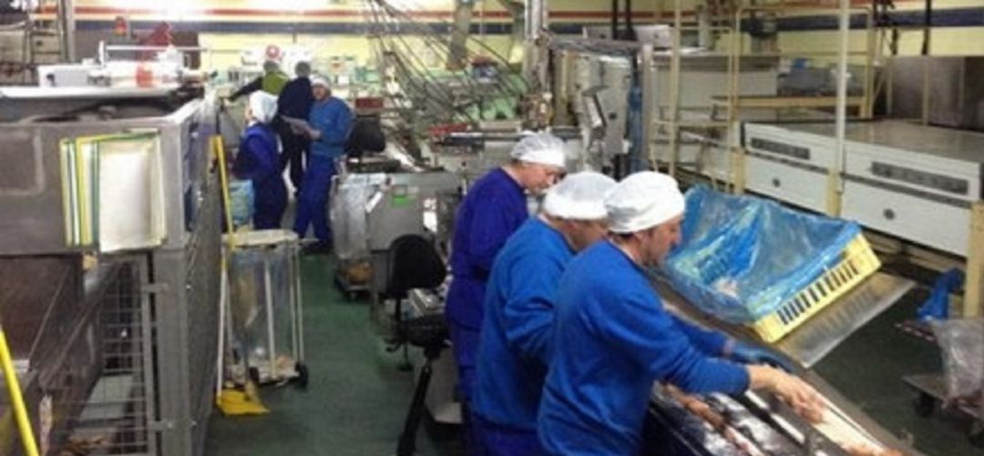 Personal del grupo Siro trabajando en la elaboración de galletas. Personal del grupo Siro trabajando en la elaboración de galletas.