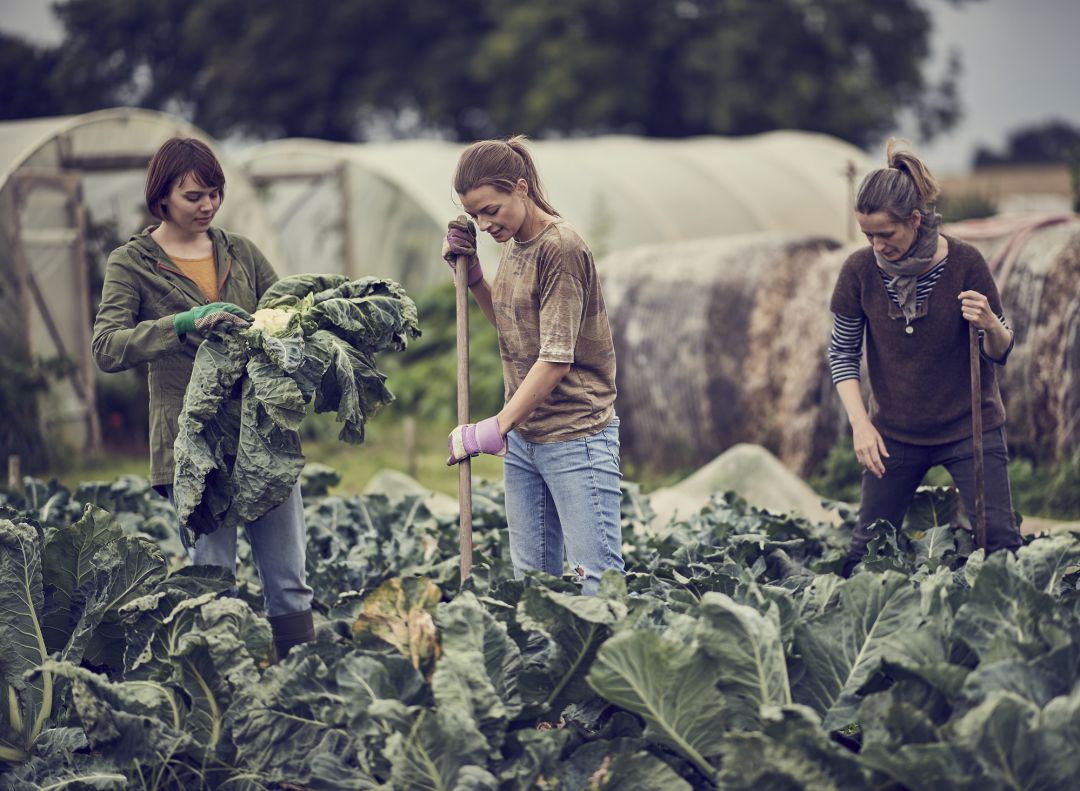 Se celebra el Dia de la Mujer Rural y se reivindica un mayor protagonismo femenino en los pueblos jiennenses Se celebra el Dia de la Mujer Rural y se reivindica un mayor protagonismo femenino en los pueblos jiennenses