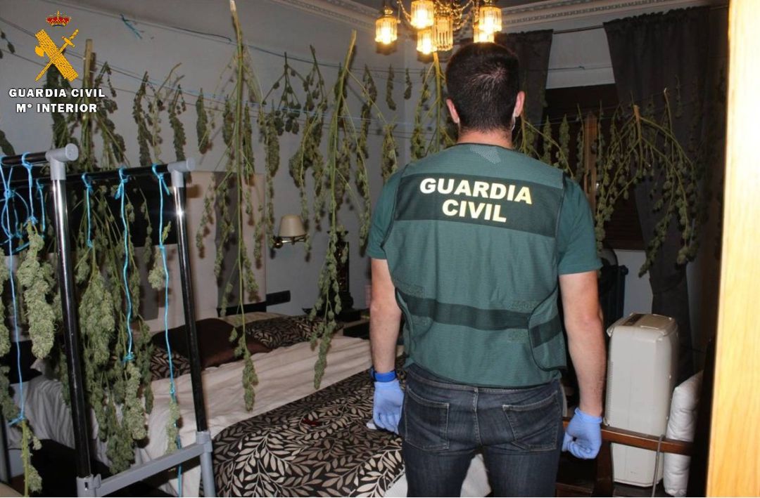 Actuación de la Guardia Civil contra la droga Actuación de la Guardia Civil contra la droga