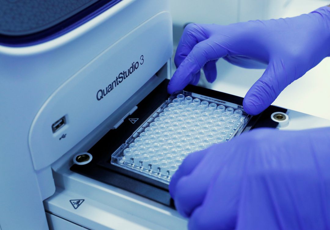 Muestras de PCR en un laboratorio. Muestras de PCR en un laboratorio.