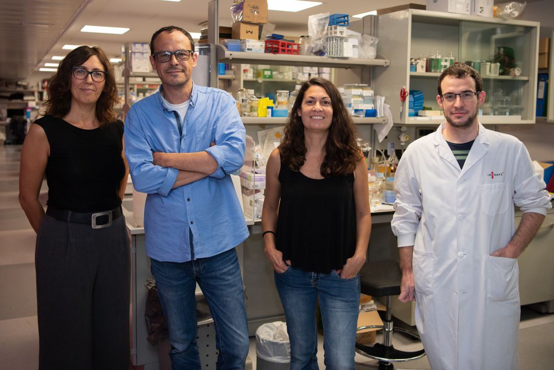 Grupo de investigación del IDIBAPS "Tráfico de lípidos y enfermedad", formado por Marta Bosch, Albert Pol, Alba Fajardo y Frederic Morales Paytuví.
Grupo de investigación del IDIBAPS "Tráfico de lípidos y enfermedad", formado por Marta Bosch, Albert Pol, Alba Fajardo y Frederic Morales Paytuví.