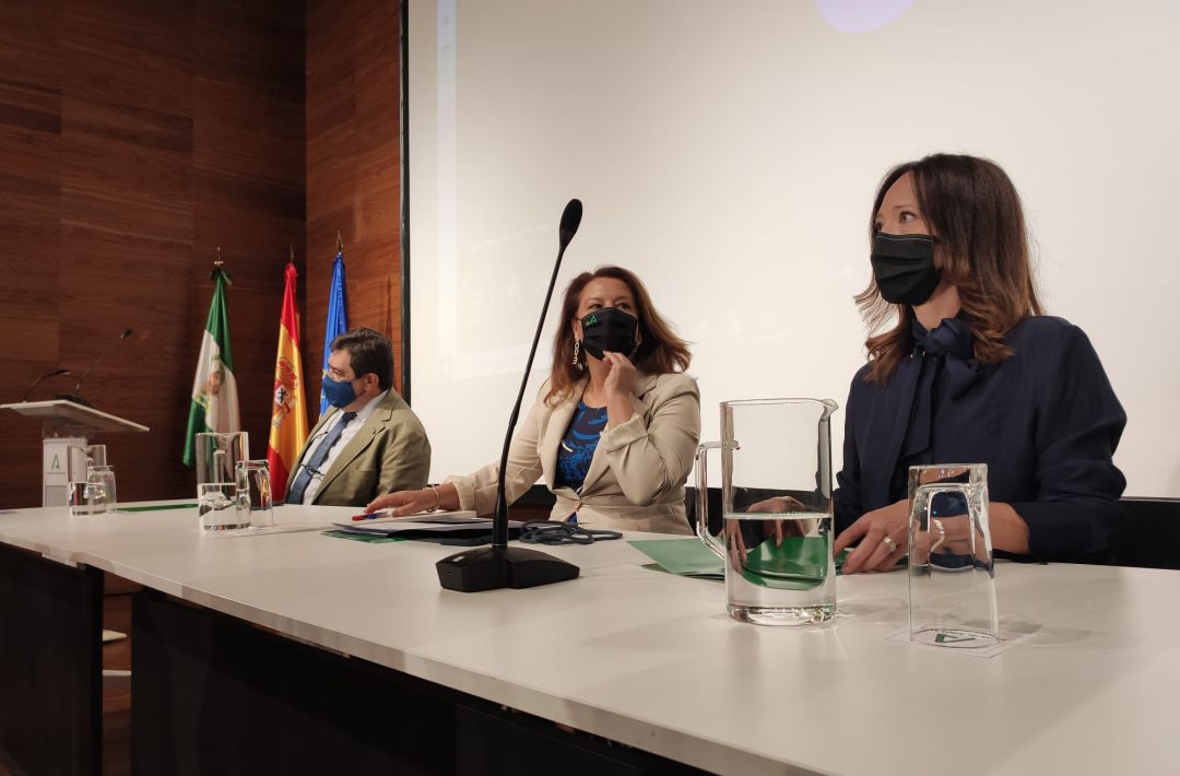 La Junta de Andalucía prevé una campaña de la aceituna muy superior a la anterior La Junta de Andalucía prevé una campaña de la aceituna muy superior a la anterior