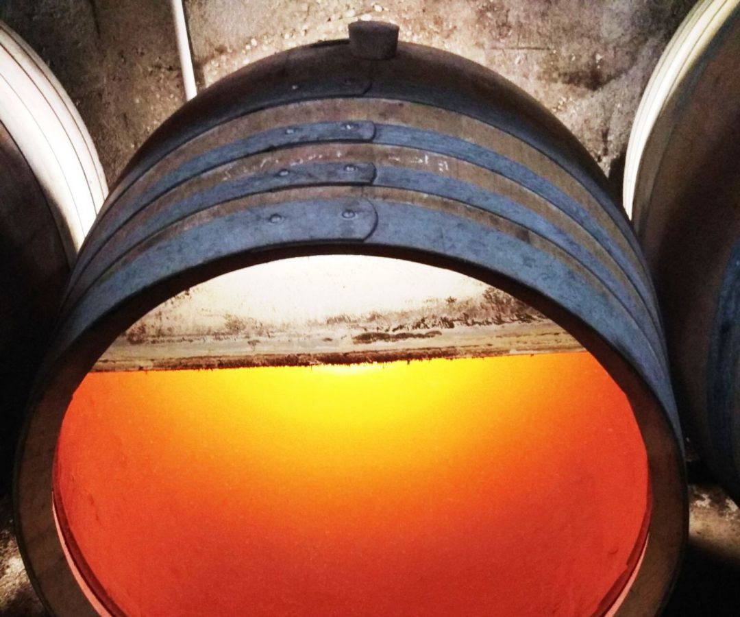 Bota de vino con velo de flor de la región francesa del Jura Bota de vino con velo de flor de la región francesa del Jura