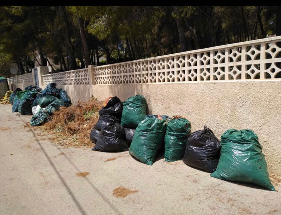 Vertidos ilegales de residuos verdes. Vertidos ilegales de residuos verdes.