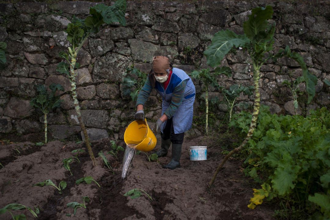 La pandemia ha provocado incluso que algunos municipios recuperen vecinos La pandemia ha provocado incluso que algunos municipios recuperen vecinos