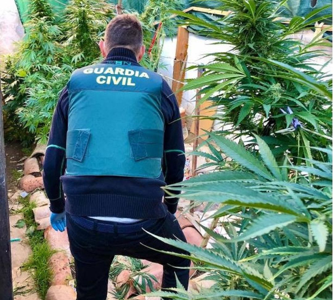 La Guardia Civil detiene a un hombre por un delito contra la salud pública y otro de defraudación de fluido eléctrico La Guardia Civil detiene a un hombre por un delito contra la salud pública y otro de defraudación de fluido eléctrico