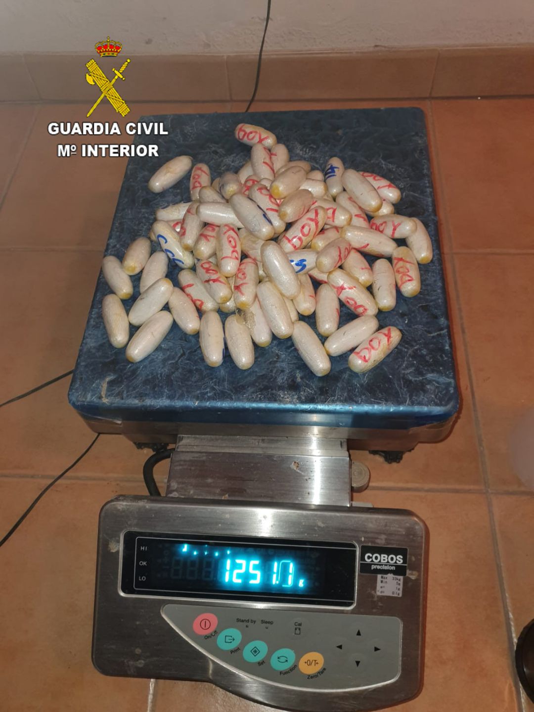 El detenido llevaba 1.251 gramos de la drogra en forma de bellota en su organismo. El detenido llevaba 1.251 gramos de la drogra en forma de bellota en su organismo.
