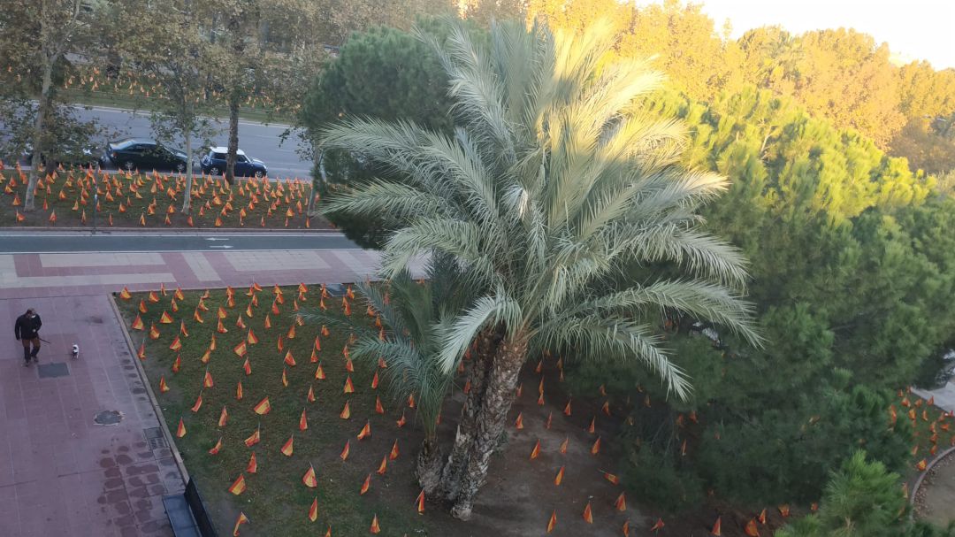 Plantan miles de banderas españolas en la mediana de una avenida de Murcia por las víctimas del covid Plantan miles de banderas españolas en la mediana de una avenida de Murcia por las víctimas del covid