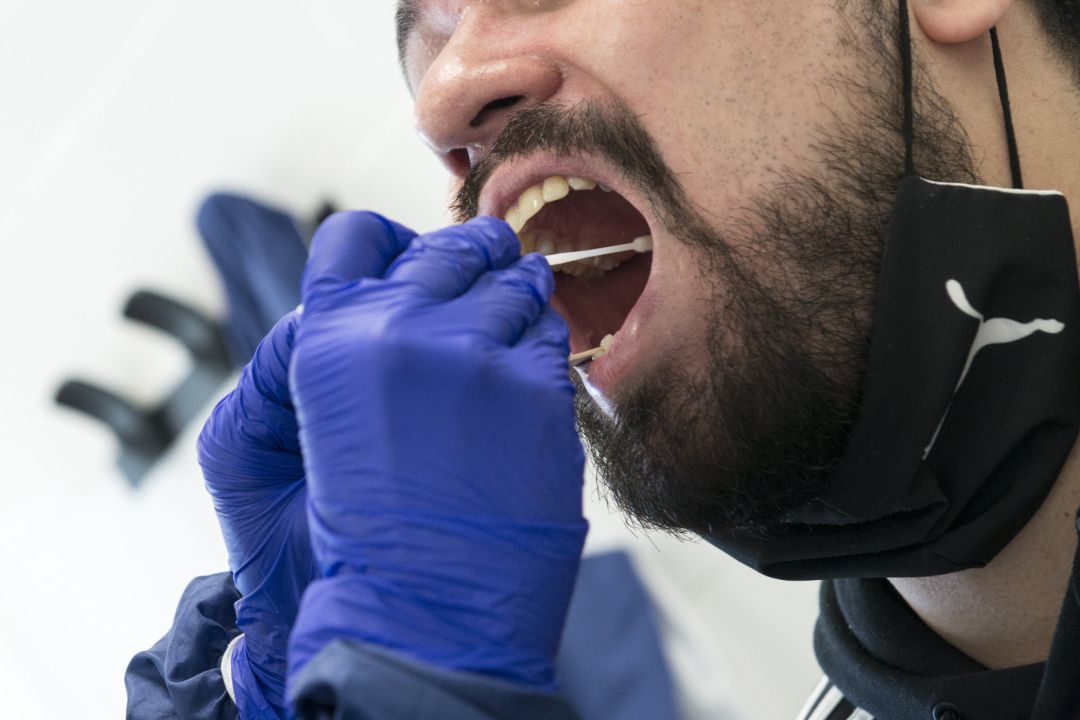 Prueba PCR Prueba PCR