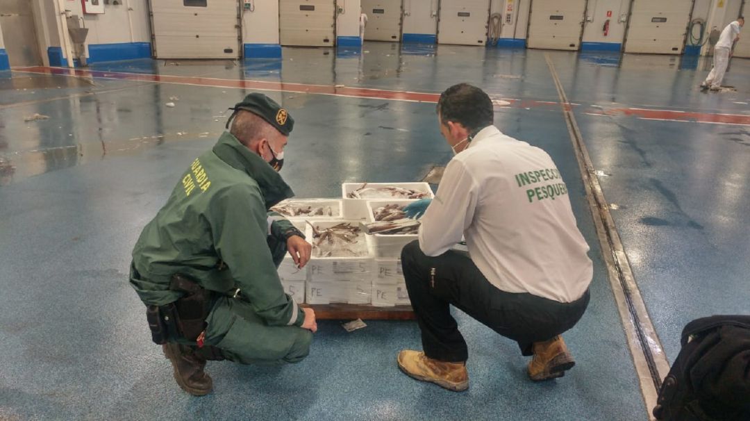 Inspectores de la Guardia Civil y de la Junta de Andalucía comprueban el pescado inmaduro incautado en la provincia de Jaén Inspectores de la Guardia Civil y de la Junta de Andalucía comprueban el pescado inmaduro incautado en la provincia de Jaén