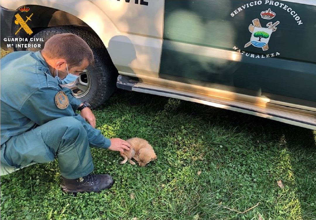 La Guardia Civil investiga a una persona por un supuesto delito de abandono de animales domésticos La Guardia Civil investiga a una persona por un supuesto delito de abandono de animales domésticos