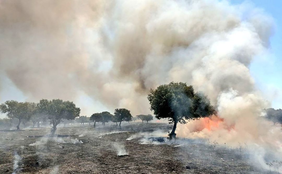 Incendio en una dehesa extremeña ocurrido en julio de este año 2020 Incendio en una dehesa extremeña ocurrido en julio de este año 2020