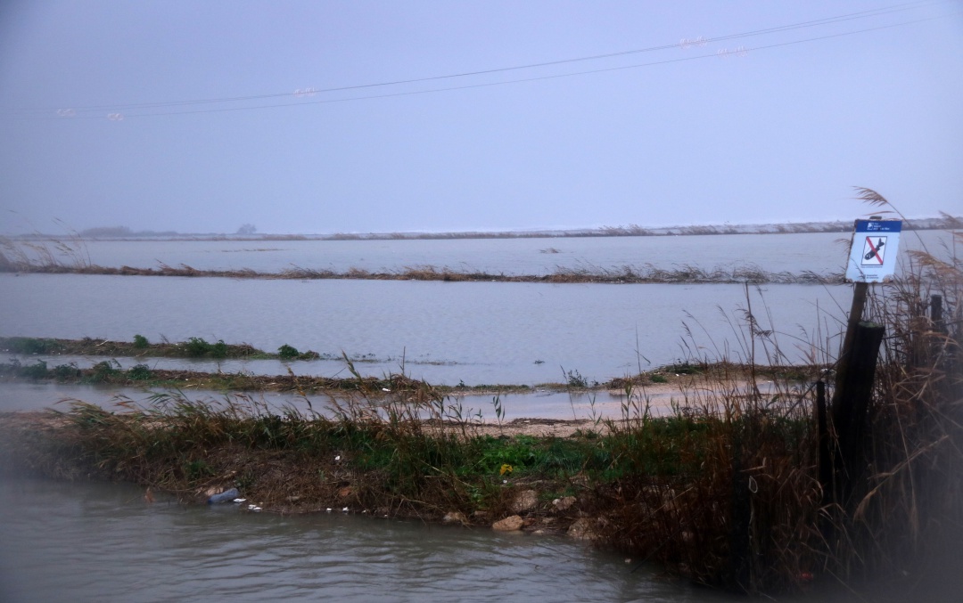 Una imatge del temporal de 2019 al Delta de l'Ebre Una imatge del temporal de 2019 al Delta de l'Ebre