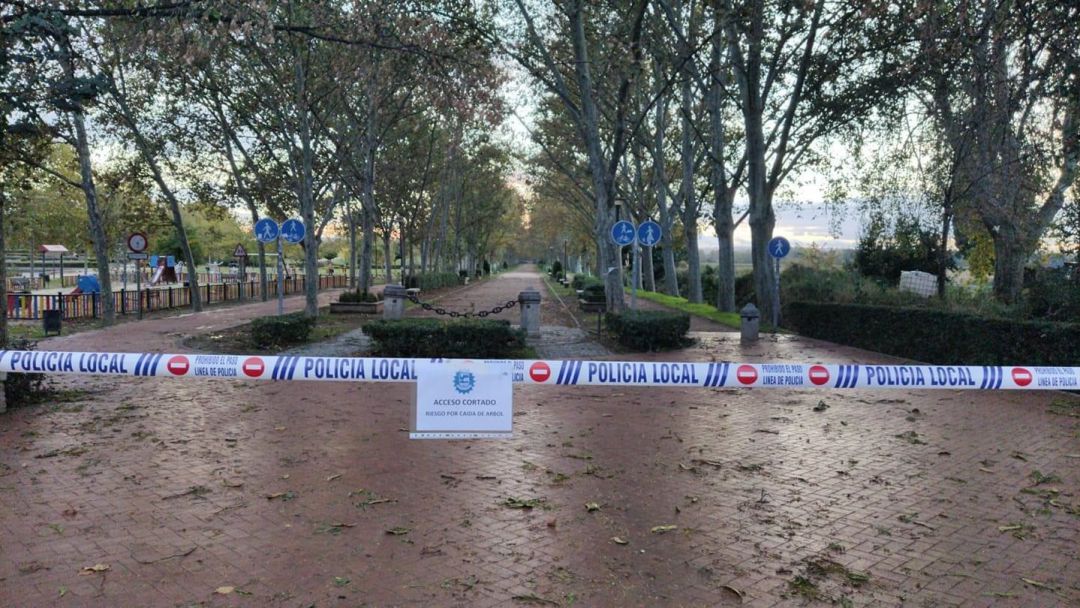 Paseo de los Chopos precintado por Policía Local Paseo de los Chopos precintado por Policía Local