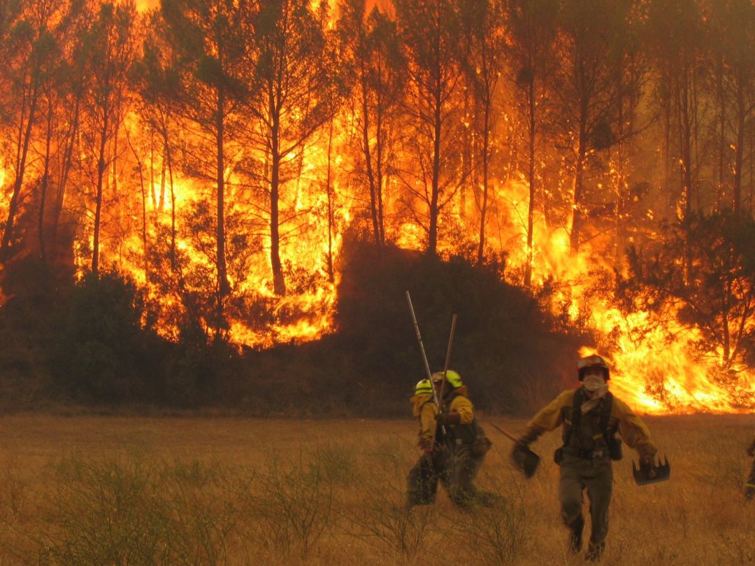 Una foto de archivo de la Brigada de Lucha contra Incendios Forestales del MITECO luchando contra un incendio forestal.
Una foto de archivo de la Brigada de Lucha contra Incendios Forestales del MITECO luchando contra un incendio forestal.