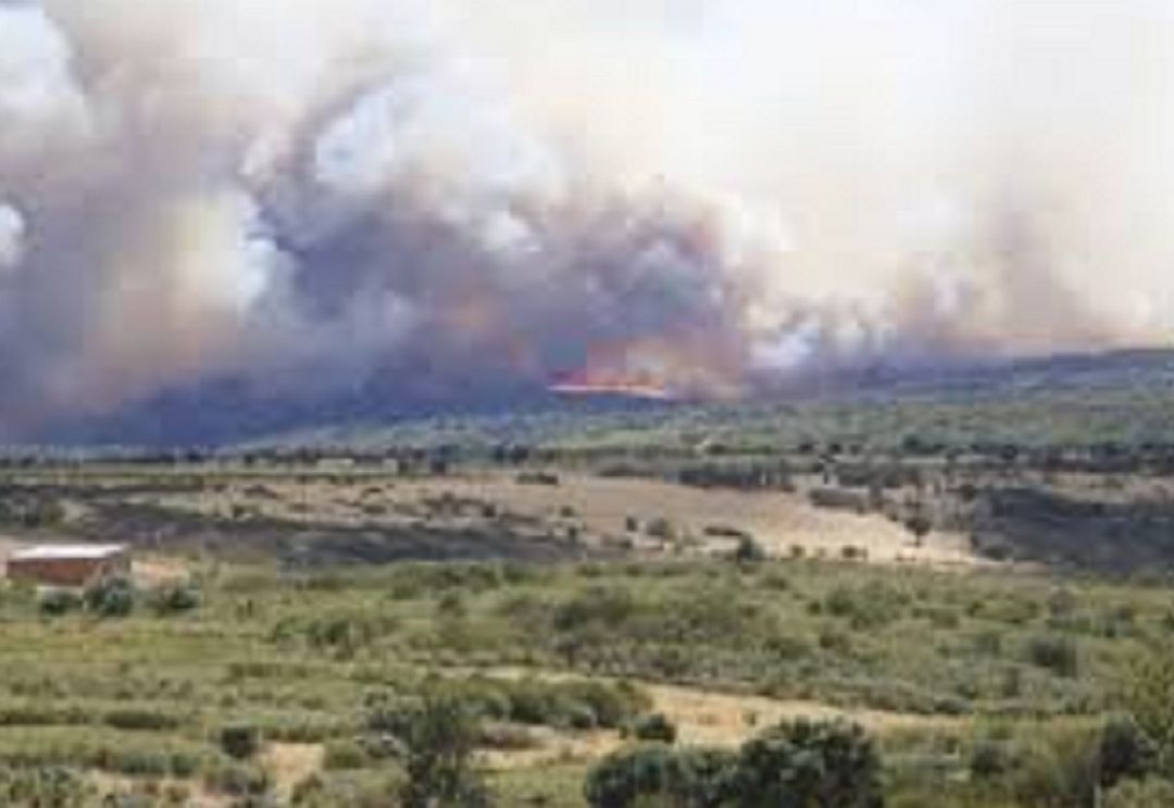 Incendio de este verano en Lober de Aliste Incendio de este verano en Lober de Aliste