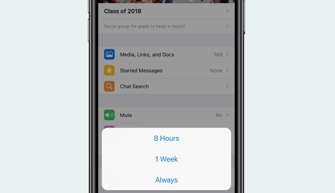 WhatsApp muestra su nueva función. WhatsApp muestra su nueva función.