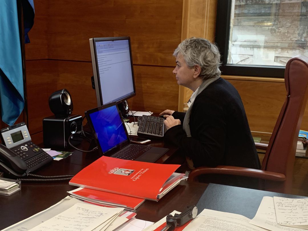 Ana González durante una reunión telemática. Ana González durante una reunión telemática.
