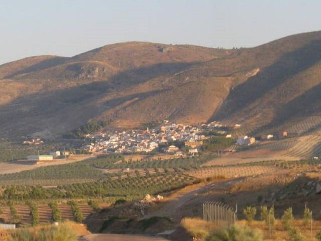 Vista general de Larva Vista general de Larva