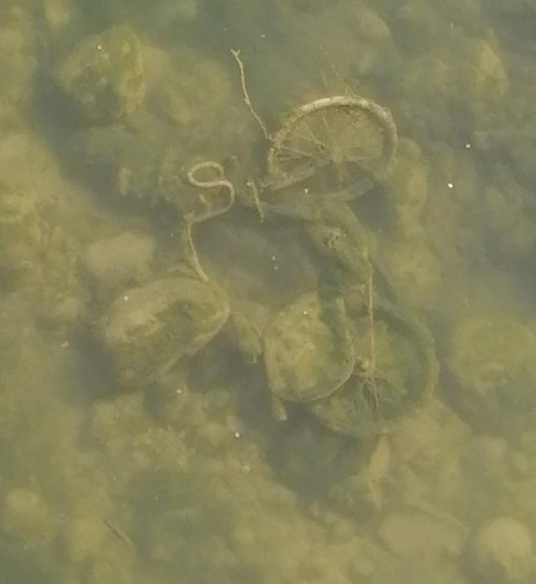 Una de las bicicletas de Saforbici en el fondo del río Serpis Una de las bicicletas de Saforbici en el fondo del río Serpis