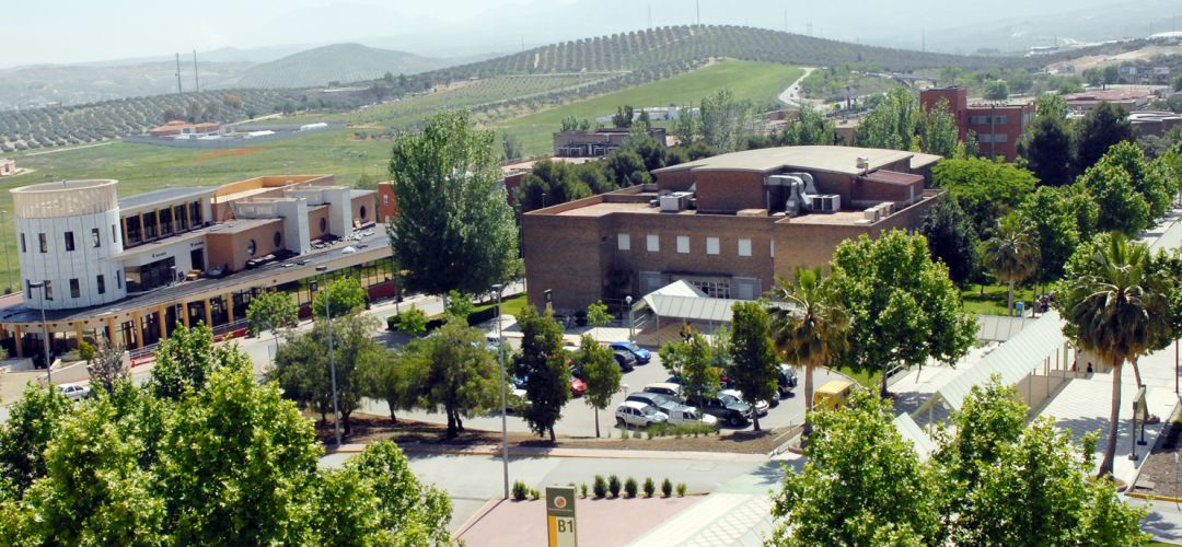 Campus de Las Lagunillas. Campus de Las Lagunillas.