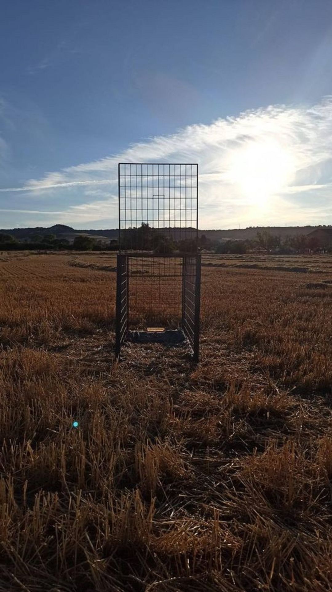 Llamamiento desesperado de la protectora de animales de Palencia Llamamiento desesperado de la protectora de animales de Palencia