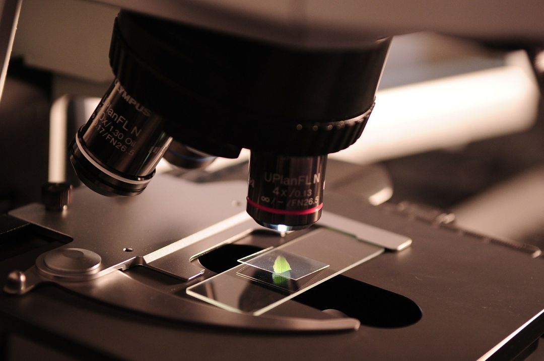 Los científicos reivindican su labor en plena carrera para lograr una vacuna contra el coronavirus Los científicos reivindican su labor en plena carrera para lograr una vacuna contra el coronavirus