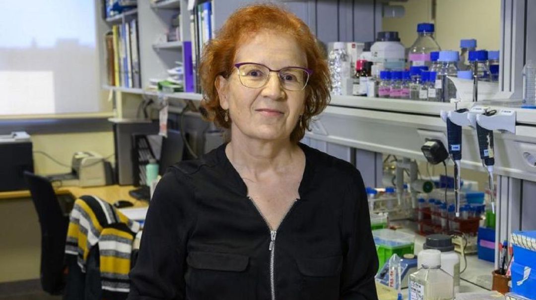 Margarita del Val es una de las voces sobre el coronavirus más respetadas en nuestro país Margarita del Val es una de las voces sobre el coronavirus más respetadas en nuestro país