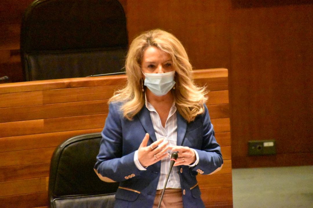La portavoz popular, Teresa Mallada, durante una de sus intervenciones. La portavoz popular, Teresa Mallada, durante una de sus intervenciones.