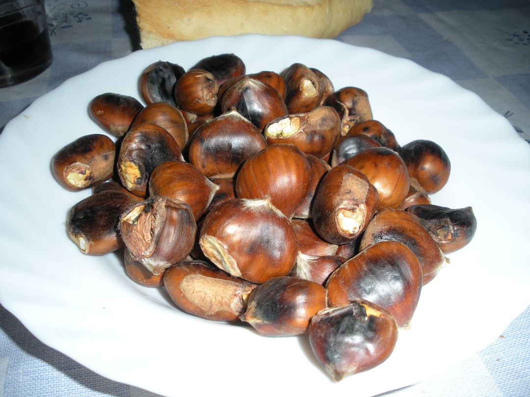 Los tradicionales "Calbotes" Los tradicionales "Calbotes"
