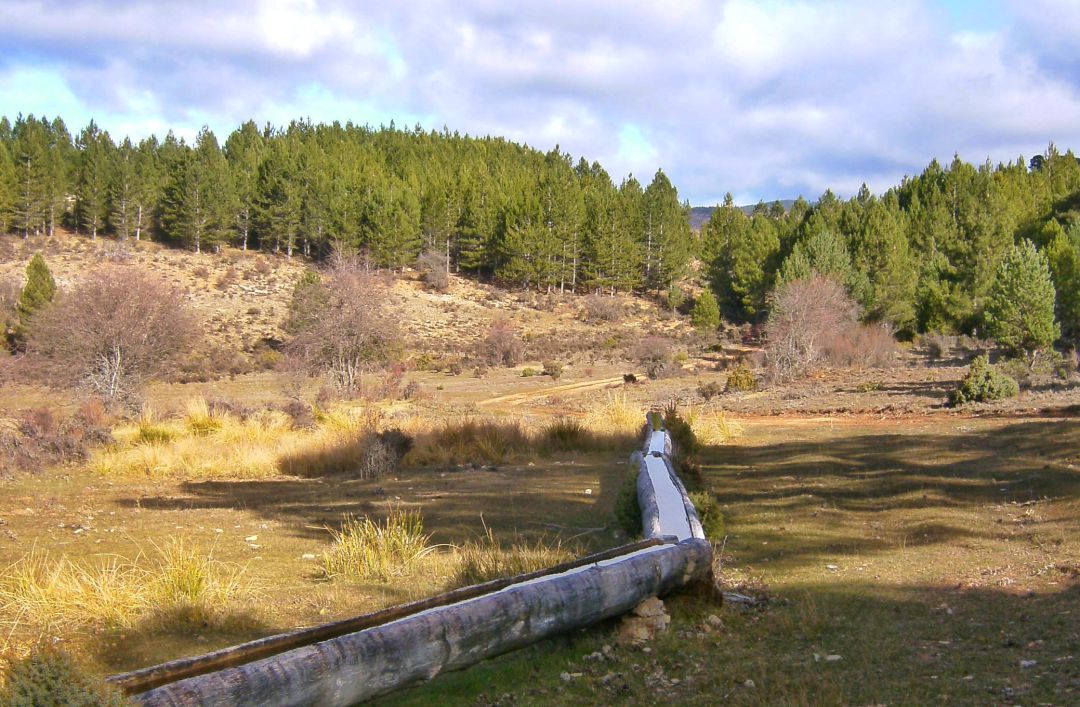 Ruta de la fuente de la Ardilla y los Estepares, en Valdemeca (Cuenca). Ruta de la fuente de la Ardilla y los Estepares, en Valdemeca (Cuenca).