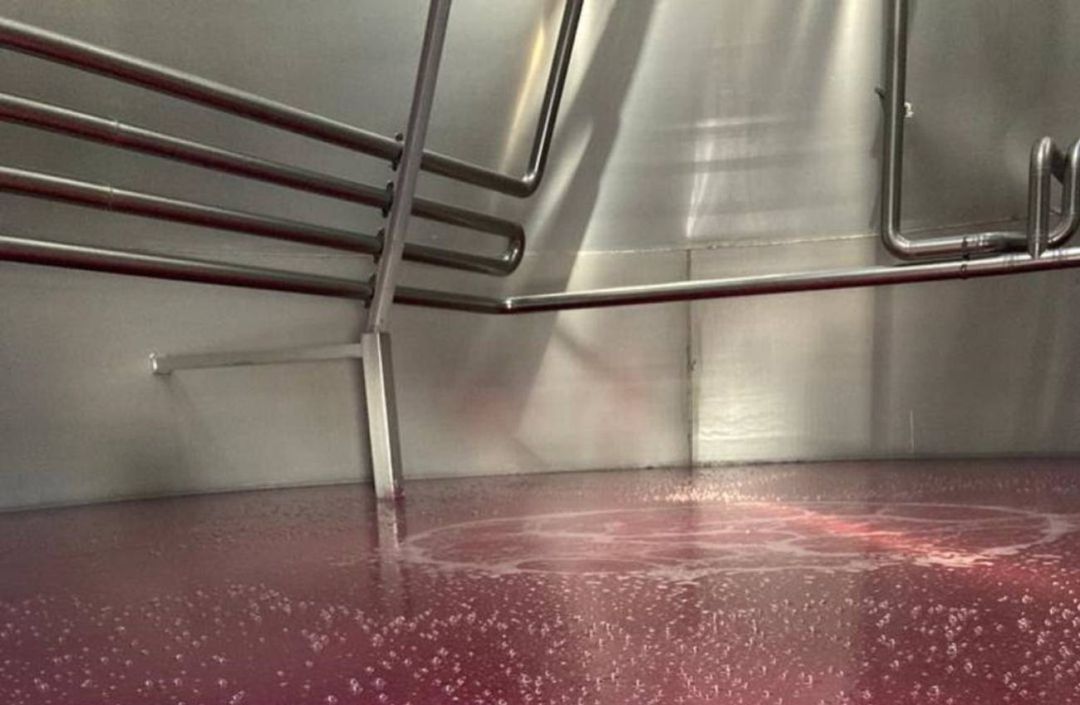 Fermentación del vino en depósito Fermentación del vino en depósito