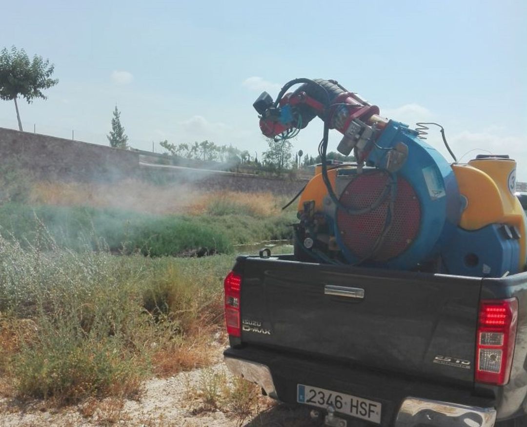 Actuación contra el mosquito tigre en Novelda Actuación contra el mosquito tigre en Novelda