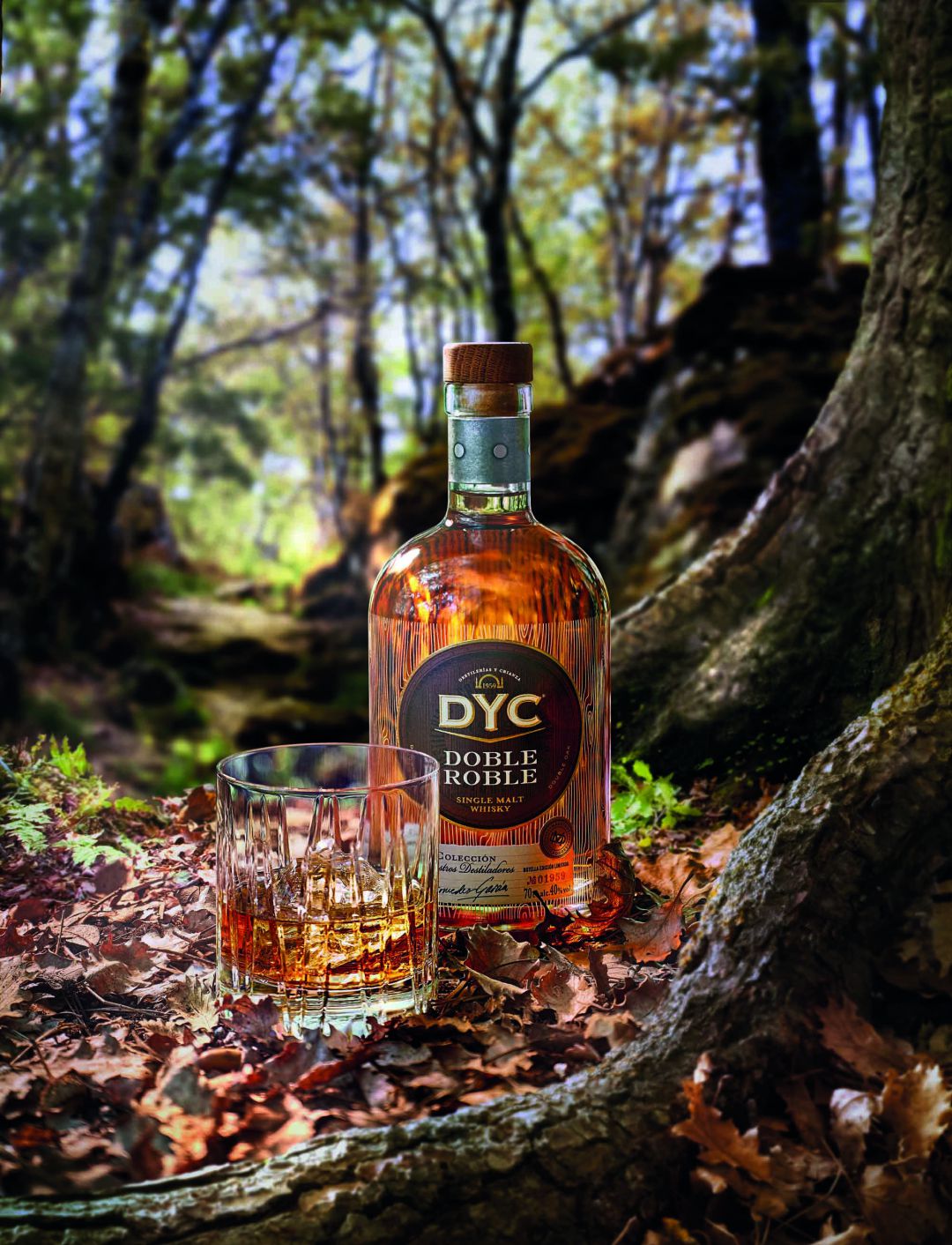 Nueva versión limitada de DYC Doble Roble Nueva versión limitada de DYC Doble Roble
