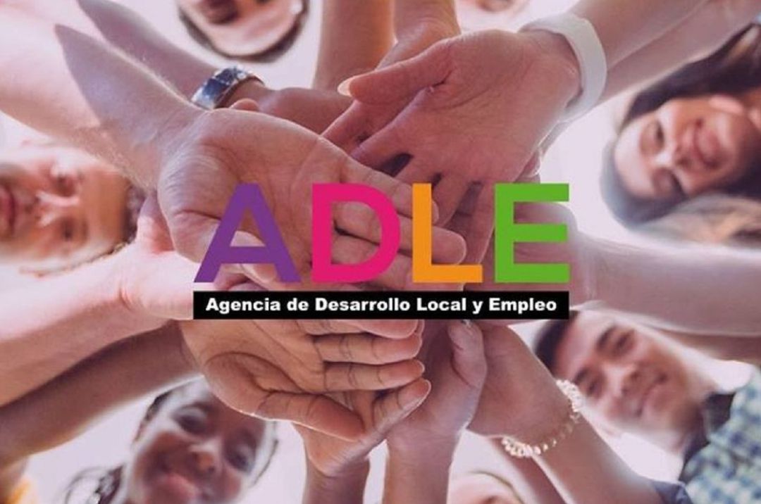 Programa de activación para el empleo. Programa de activación para el empleo.