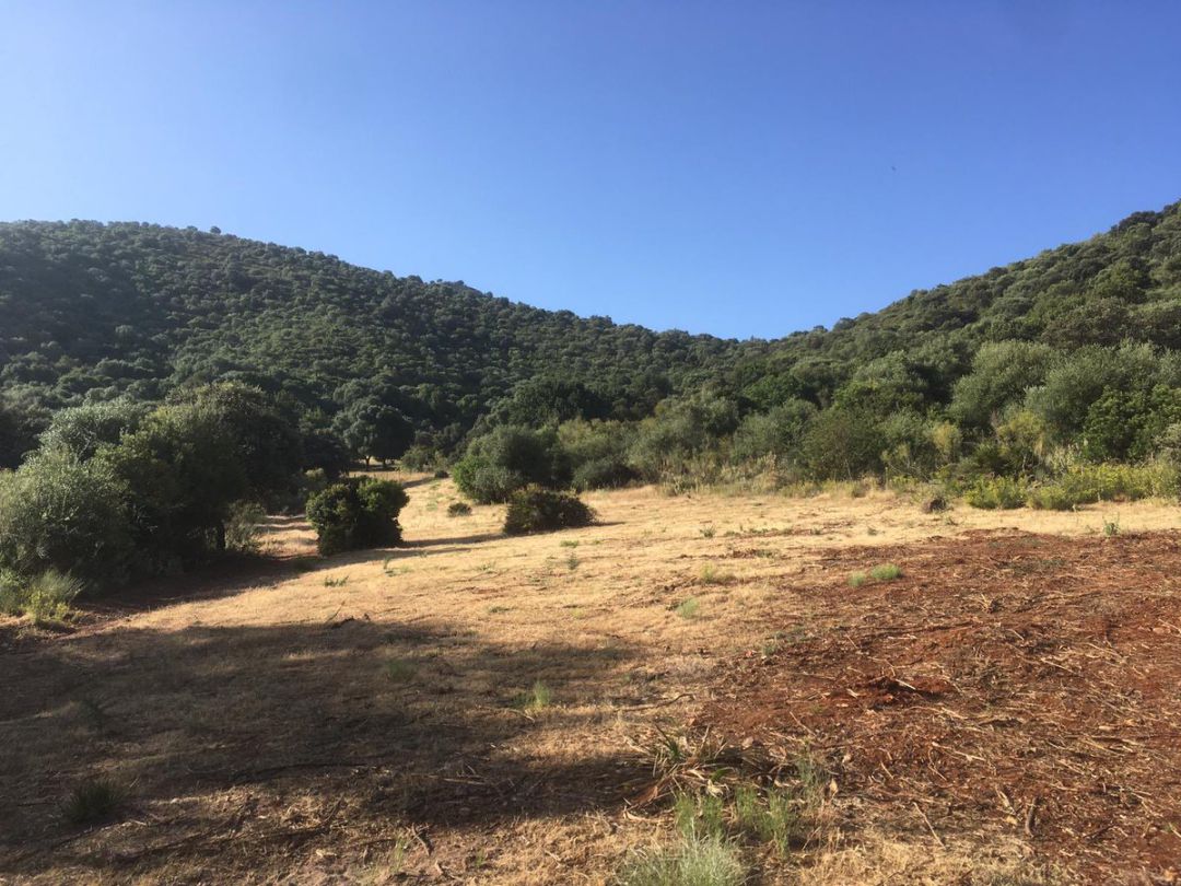 Imagen de una explotación agrícola de la provincia Imagen de una explotación agrícola de la provincia