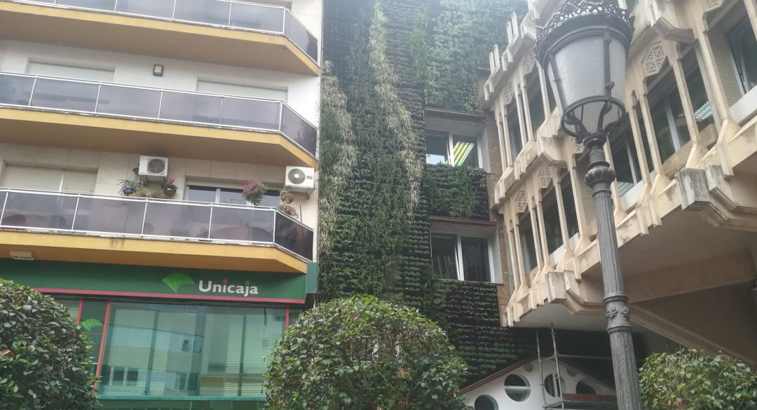 Imagen del jardín vertical que se ha colocado en la fachada del Ayuntamiento Imagen del jardín vertical que se ha colocado en la fachada del Ayuntamiento