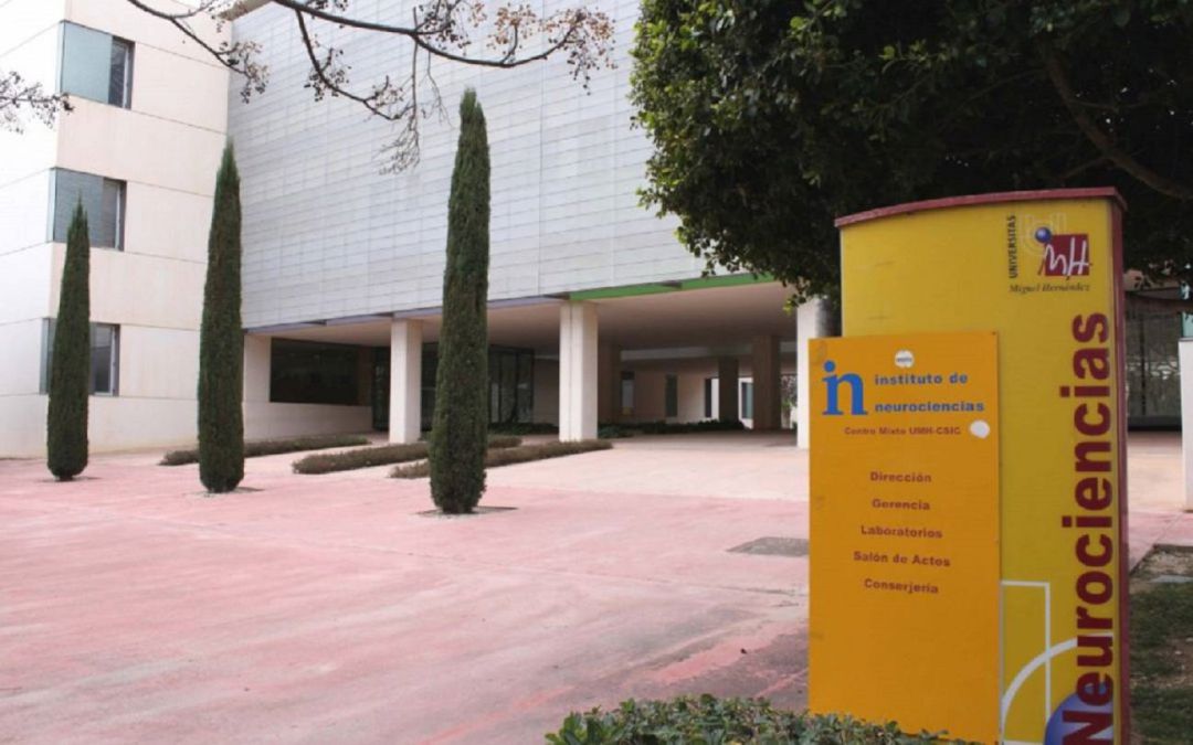 Instituto de Neurociencias Instituto de Neurociencias