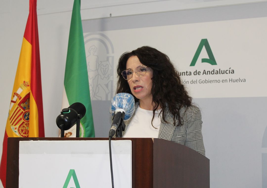 Rocío Ruiz, la consejera de Igualdad en la rueda de prensa para presentar los presupuestos andaluces. Rocío Ruiz, la consejera de Igualdad en la rueda de prensa para presentar los presupuestos andaluces.