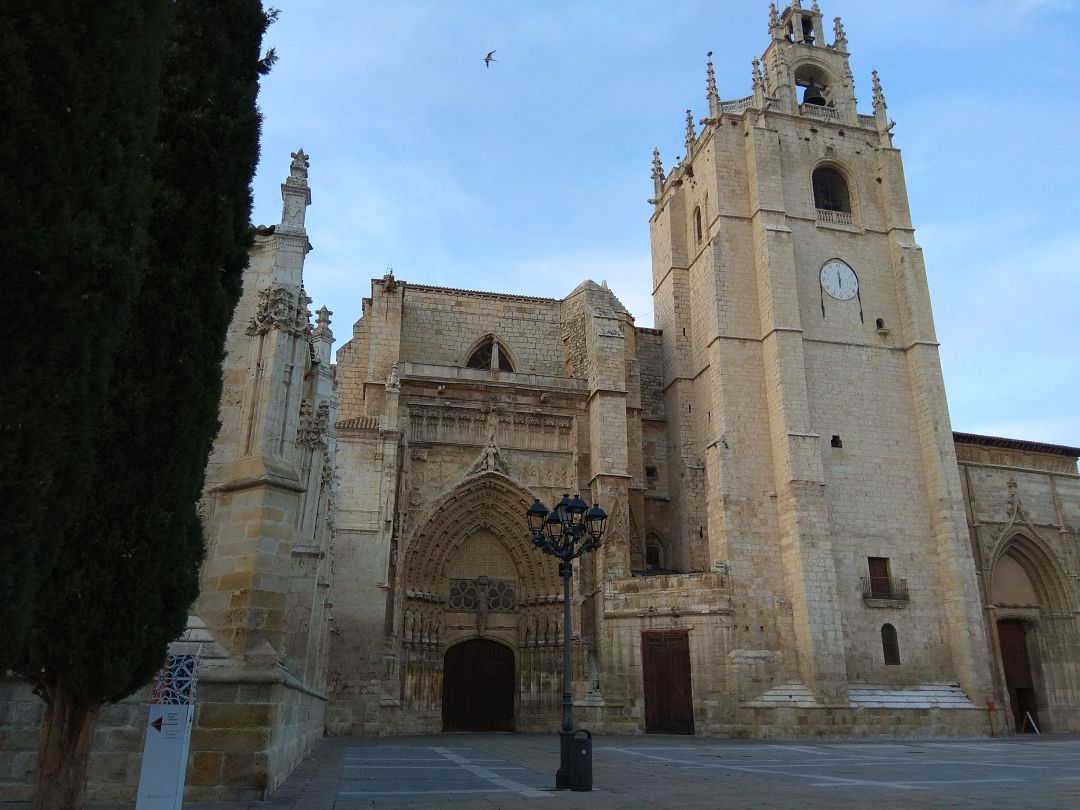 La Catedral de Palencia cierra sus puertas al turismo a causa del coronavirus La Catedral de Palencia cierra sus puertas al turismo a causa del coronavirus