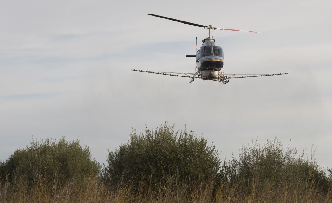 Fumigación aérea en zona de marjal de la provincia de Castellón Fumigación aérea en zona de marjal de la provincia de Castellón
