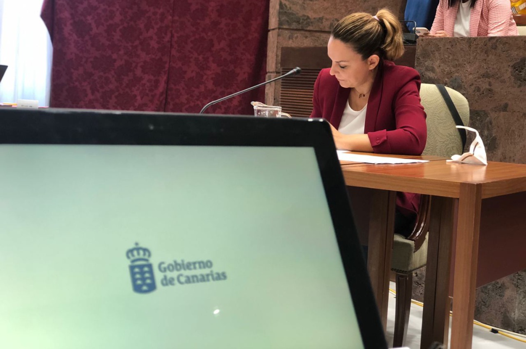 La consejera de Derechos Sociales, Noemí Santana, en un momento durante su comparecencia en la Comisión de Presupuestos del Parlamento de Canarias La consejera de Derechos Sociales, Noemí Santana, en un momento durante su comparecencia en la Comisión de Presupuestos del Parlamento de Canarias