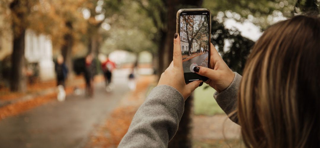 Chica fotografiando un árbol Chica fotografiando un árbol