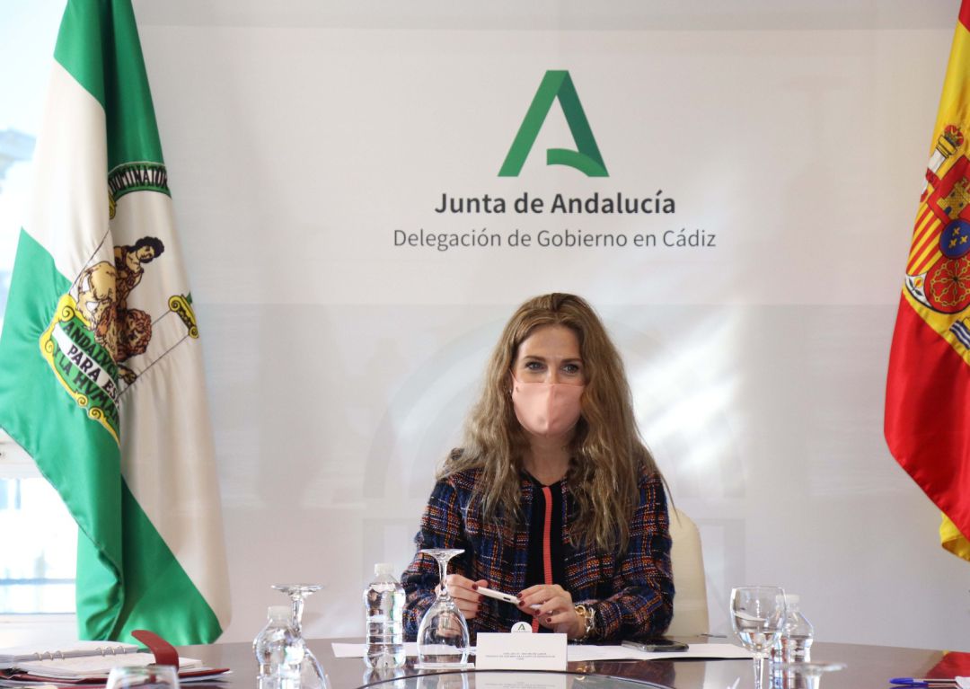 Ana Mestre, delegado del gobierno andaluz en la provincia Ana Mestre, delegado del gobierno andaluz en la provincia