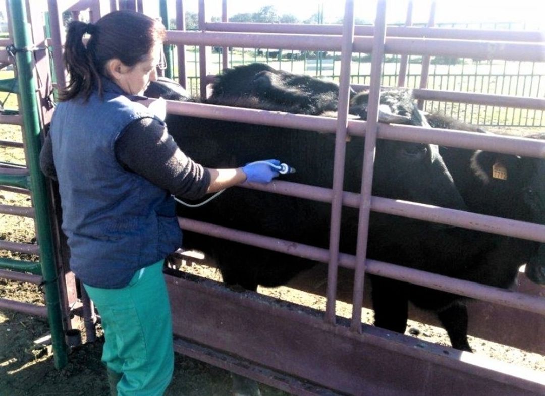 Mujer trabajando Mujer trabajando
