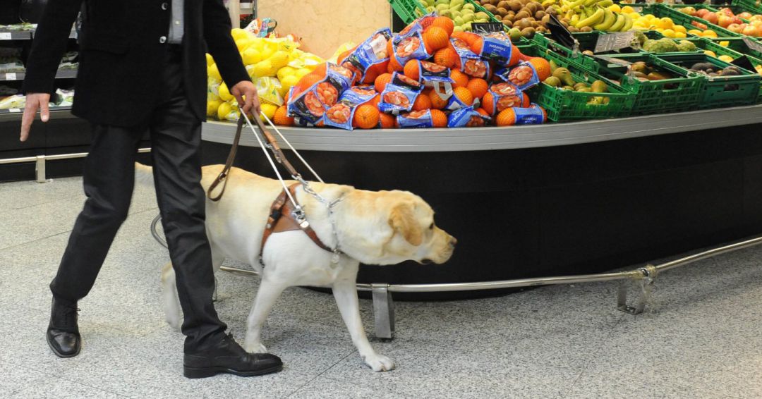 Persona ciega con perro guía en supermercado Persona ciega con perro guía en supermercado