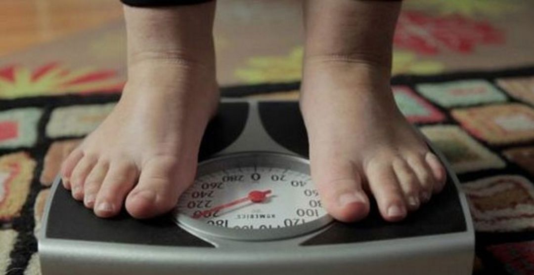 Casi la mitad de los niños canarios padecen obesidad o sobrepeso Casi la mitad de los niños canarios padecen obesidad o sobrepeso