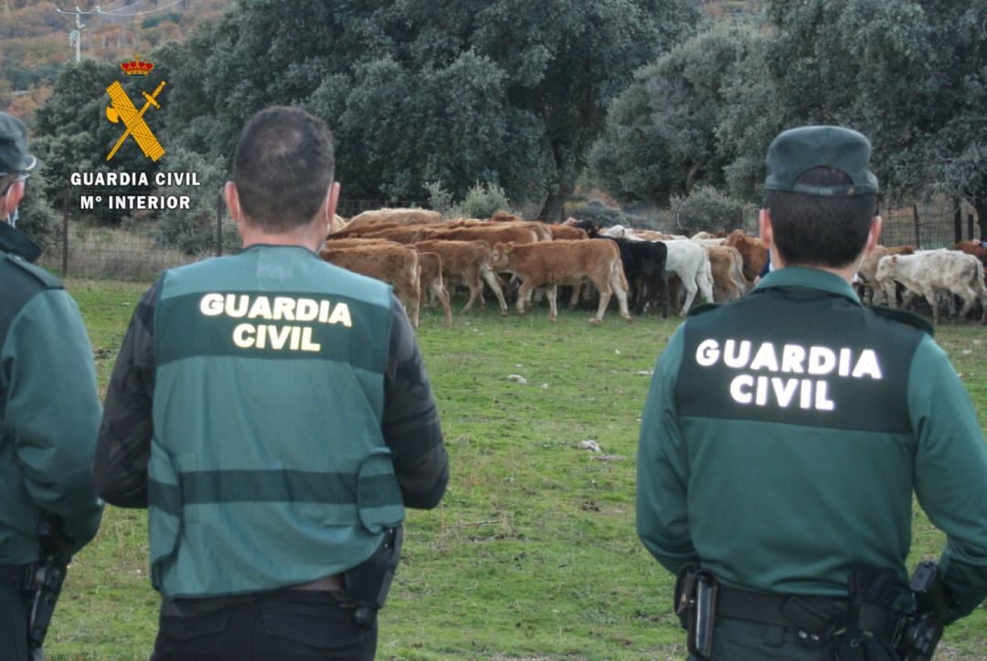 Nota De Prensa. Guardia Civil
Nota De Prensa. Guardia Civil
